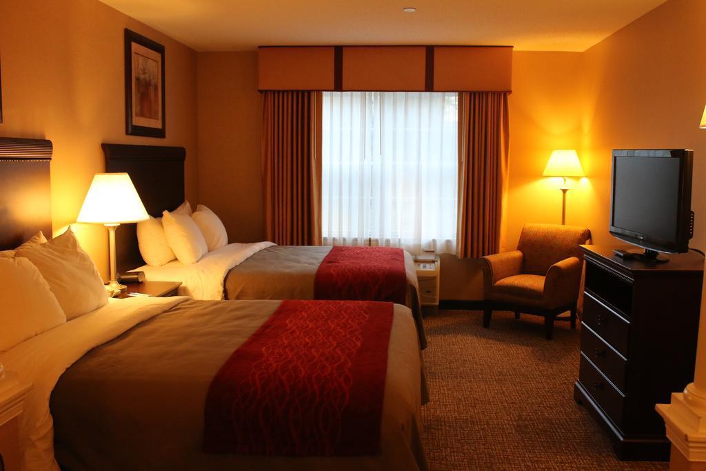 Comfort Inn & Suites Scarborough-Portland Ngoại thất bức ảnh